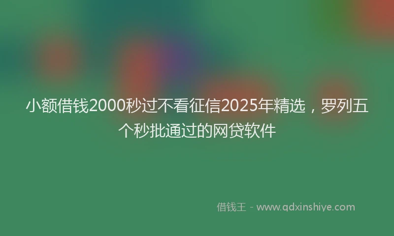 小额借钱2000秒过不看征信2025年精选，罗列五个秒批通过的网贷软件