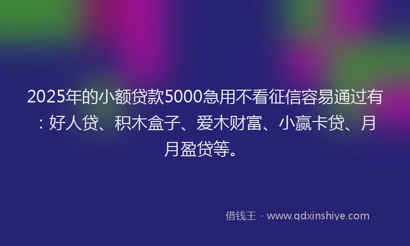 2025年的小额贷款5000急用不看征信容易通过有：好人贷、积木盒子、爱木财富、小赢卡贷、月月盈贷等。