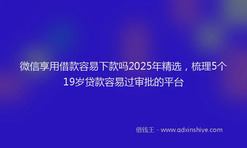微信享用借款容易下款吗2025年精选，梳理5个19岁贷款容易过审批的平台