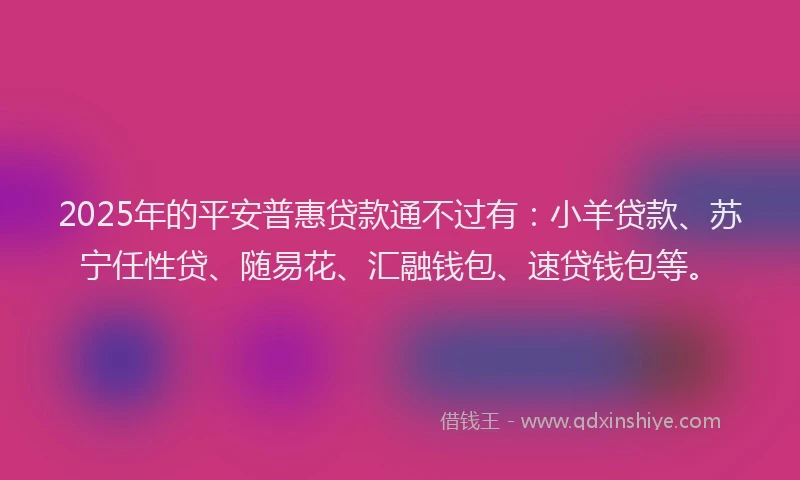 2025年的平安普惠贷款通不过有：小羊贷款、苏宁任性贷、随易花、汇融钱包、速贷钱包等。