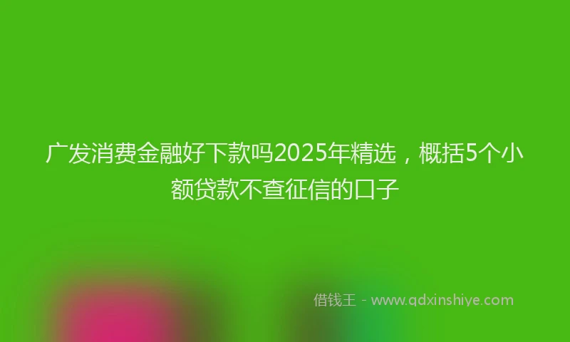 广发消费金融好下款吗2025年精选，概括5个小额贷款不查征信的口子