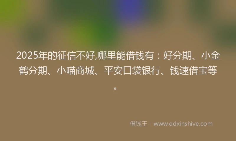 2025年的征信不好,哪里能借钱有：好分期、小金鹤分期、小喵商城、平安口袋银行、钱速借宝等。