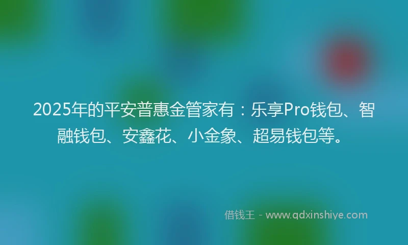 2025年的平安普惠金管家有：乐享Pro钱包、智融钱包、安鑫花、小金象、超易钱包等。