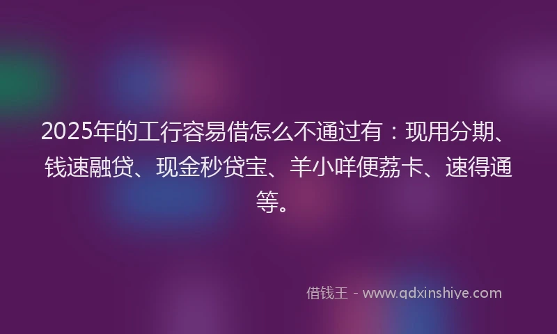 2025年的工行容易借怎么不通过有：现用分期、钱速融贷、现金秒贷宝、羊小咩便荔卡、速得通等。