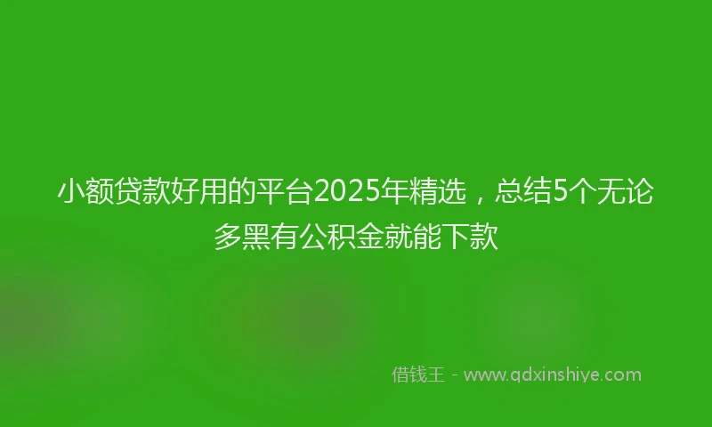 小额贷款好用的平台2025年精选，总结5个无论多黑有公积金就能下款