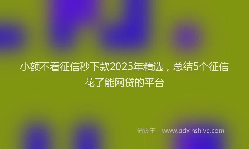 小额不看征信秒下款2025年精选，总结5个征信花了能网贷的平台