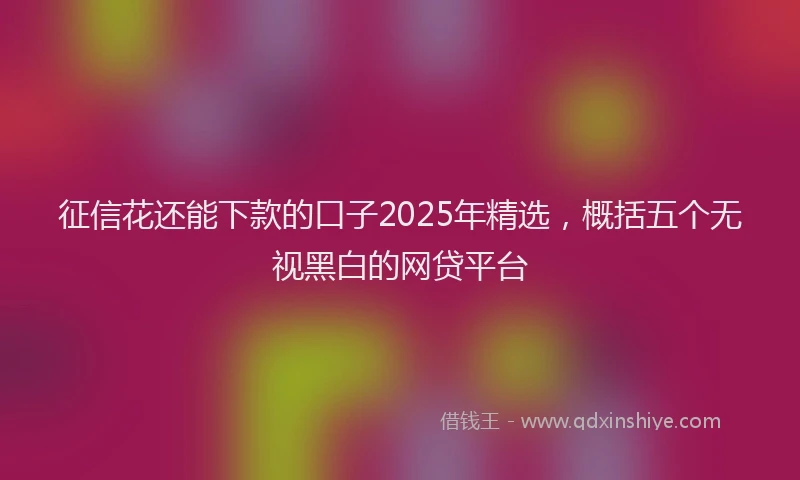 征信花还能下款的口子2025年精选，概括五个无视黑白的网贷平台