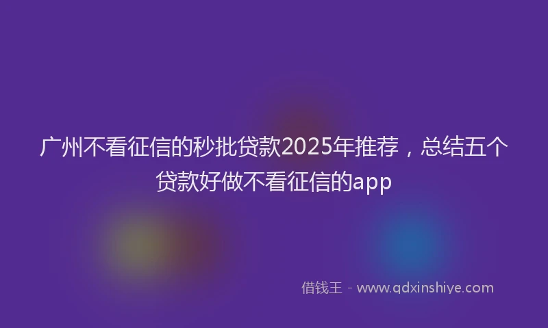 广州不看征信的秒批贷款2025年推荐，总结五个贷款好做不看征信的app