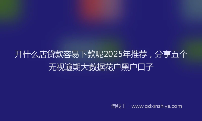 开什么店贷款容易下款呢2025年推荐，分享五个无视逾期大数据花户黑户口子