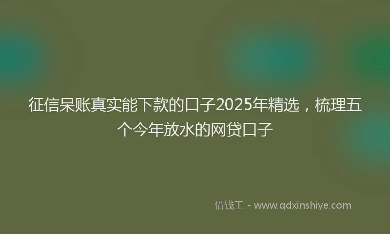 征信呆账真实能下款的口子2025年精选，梳理五个今年放水的网贷口子