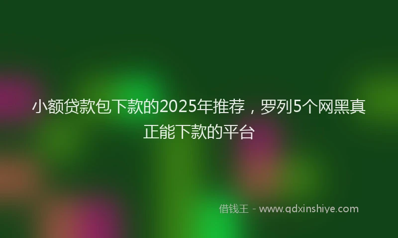 小额贷款包下款的2025年推荐，罗列5个网黑真正能下款的平台