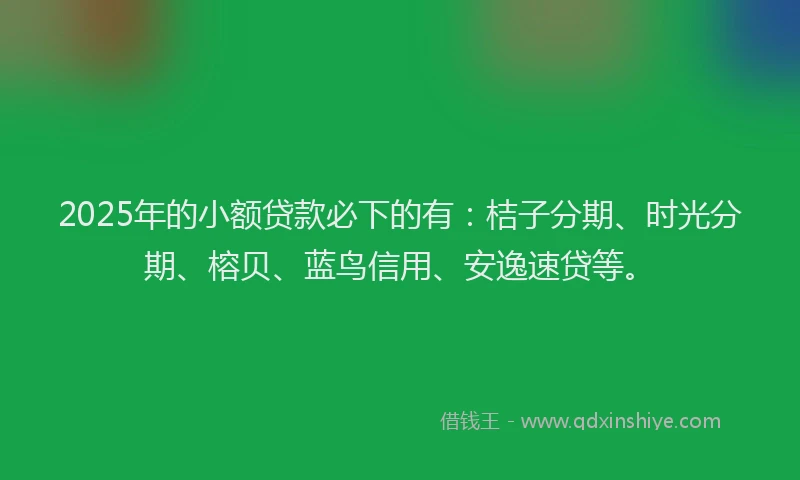 2025年的小额贷款必下的有：桔子分期、时光分期、榕贝、蓝鸟信用、安逸速贷等。