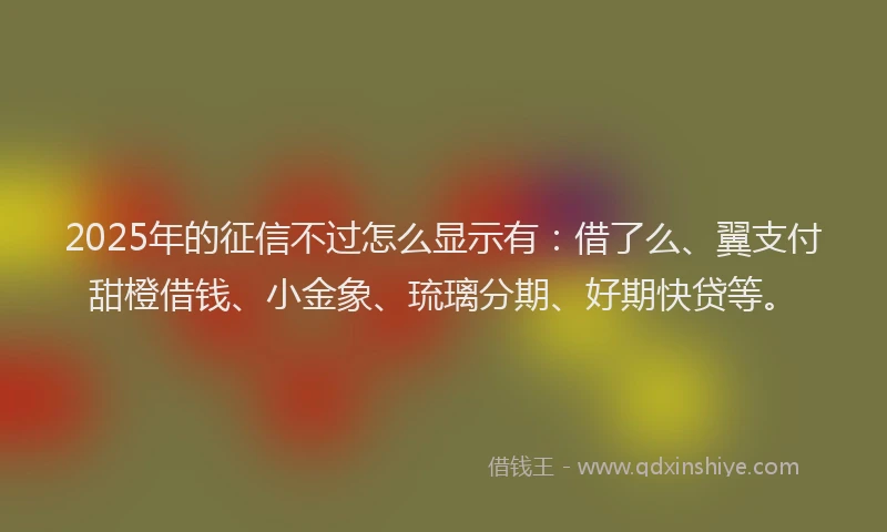 2025年的征信不过怎么显示有：借了么、翼支付甜橙借钱、小金象、琉璃分期、好期快贷等。