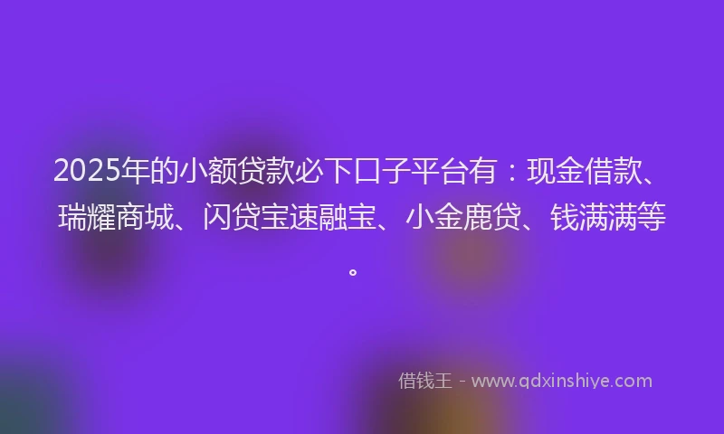 2025年的小额贷款必下口子平台有：现金借款、瑞耀商城、闪贷宝速融宝、小金鹿贷、钱满满等。