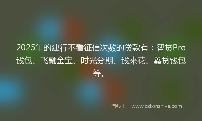 2025年的建行不看征信次数的贷款有：智贷Pro钱包、飞融金宝、时光分期、钱来花、鑫贷钱包等。