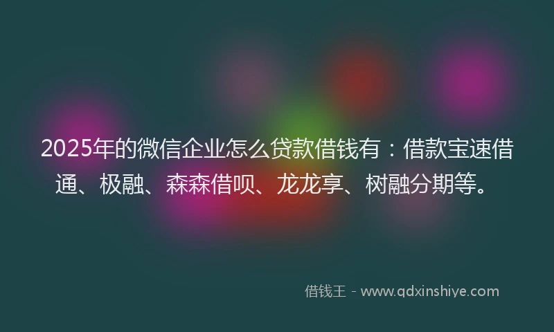 2025年的微信企业怎么贷款借钱有：借款宝速借通、极融、森森借呗、龙龙享、树融分期等。