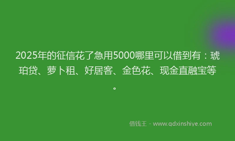 2025年的征信花了急用5000哪里可以借到有：琥珀贷、萝卜租、好居客、金色花、现金直融宝等。