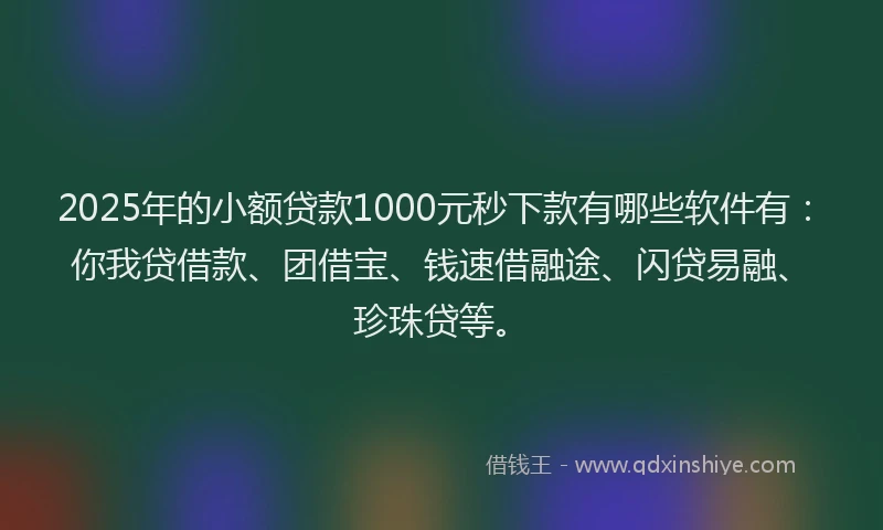 2025年的小额贷款1000元秒下款有哪些软件有：你我贷借款、团借宝、钱速借融途、闪贷易融、珍珠贷等。
