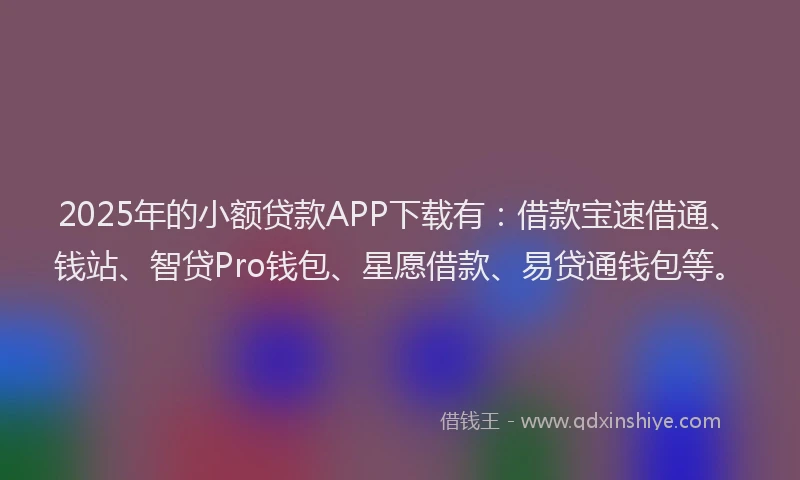 2025年的小额贷款APP下载有：借款宝速借通、钱站、智贷Pro钱包、星愿借款、易贷通钱包等。