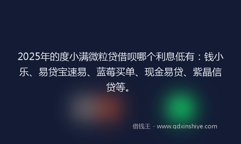 2025年的度小满微粒贷借呗哪个利息低有：钱小乐、易贷宝速易、蓝莓买单、现金易贷、紫晶信贷等。