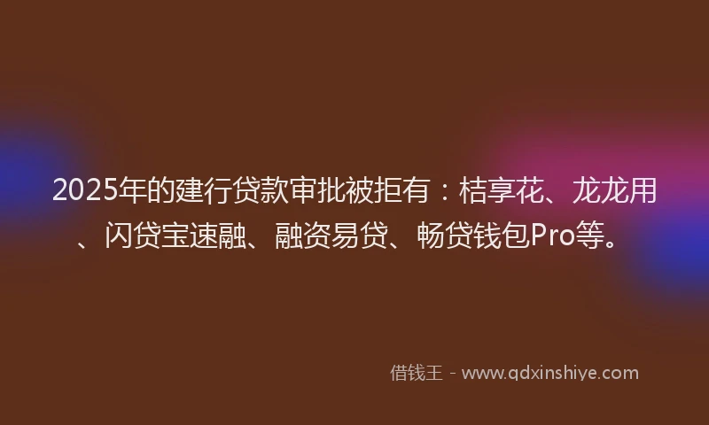 2025年的建行贷款审批被拒有：桔享花、龙龙用、闪贷宝速融、融资易贷、畅贷钱包Pro等。