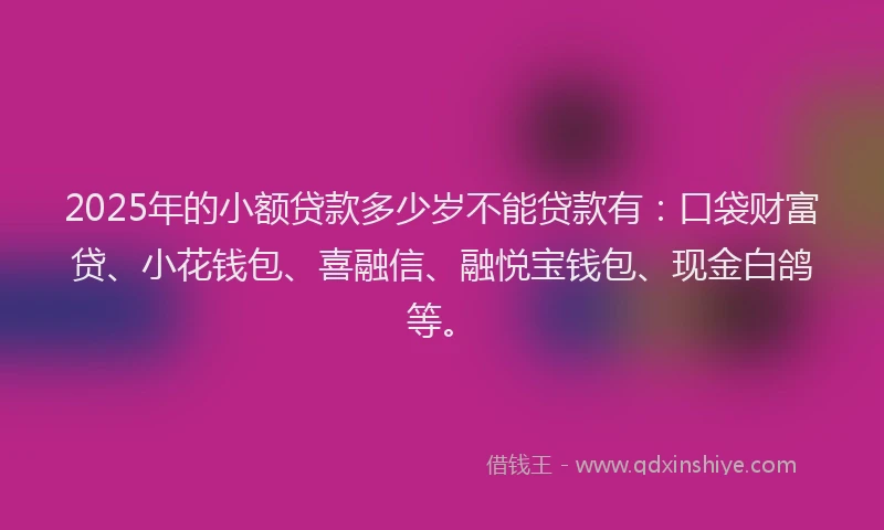 2025年的小额贷款多少岁不能贷款有：口袋财富贷、小花钱包、喜融信、融悦宝钱包、现金白鸽等。