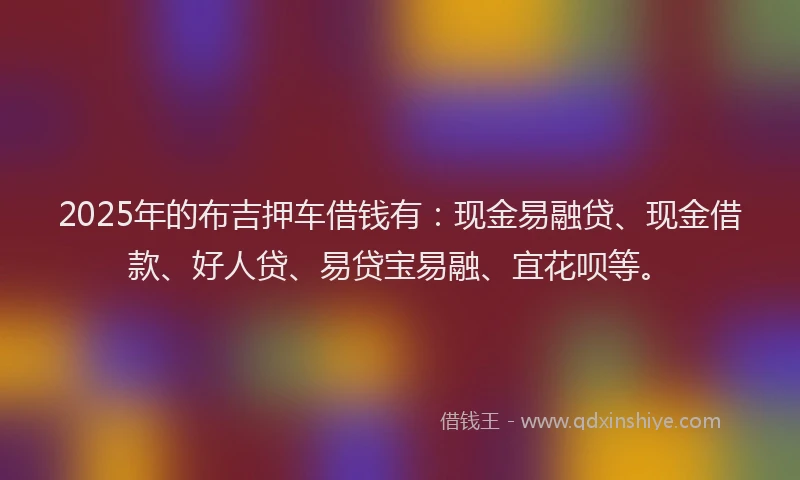 2025年的布吉押车借钱有：现金易融贷、现金借款、好人贷、易贷宝易融、宜花呗等。