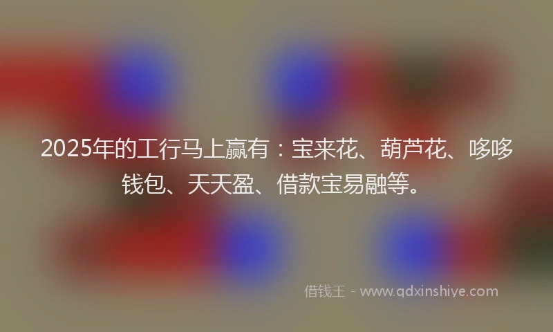2025年的工行马上赢有：宝来花、葫芦花、哆哆钱包、天天盈、借款宝易融等。
