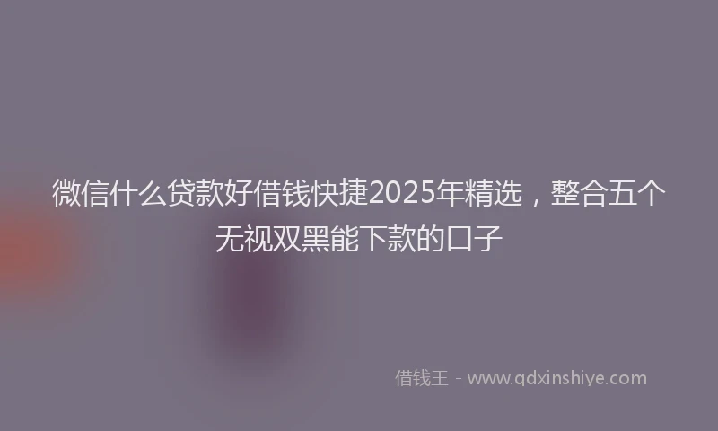 微信什么贷款好借钱快捷2025年精选，整合五个无视双黑能下款的口子