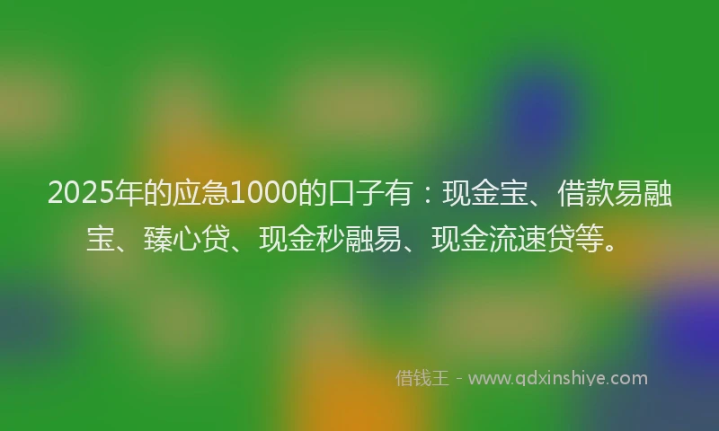 2025年的应急1000的口子有：现金宝、借款易融宝、臻心贷、现金秒融易、现金流速贷等。