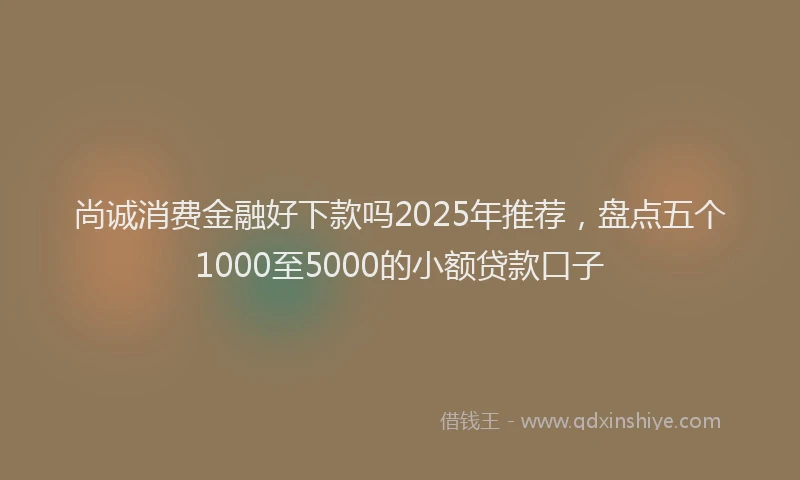 尚诚消费金融好下款吗2025年推荐，盘点五个1000至5000的小额贷款口子