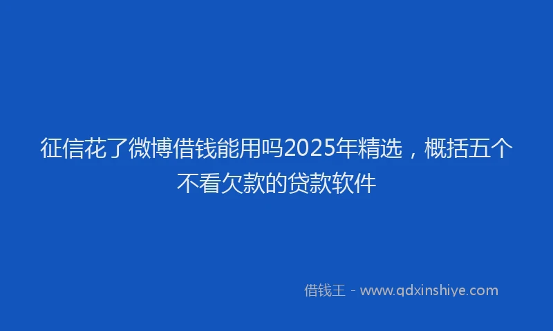 征信花了微博借钱能用吗2025年精选，概括五个不看欠款的贷款软件