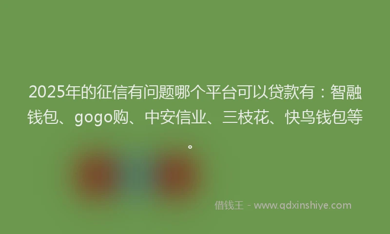 2025年的征信有问题哪个平台可以贷款有：智融钱包、gogo购、中安信业、三枝花、快鸟钱包等。