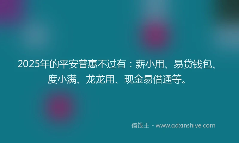 2025年的平安普惠不过有：薪小用、易贷钱包、度小满、龙龙用、现金易借通等。