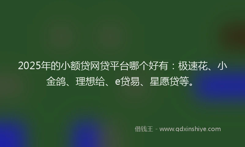 2025年的小额贷网贷平台哪个好有：极速花、小金鸽、理想给、e贷易、星愿贷等。