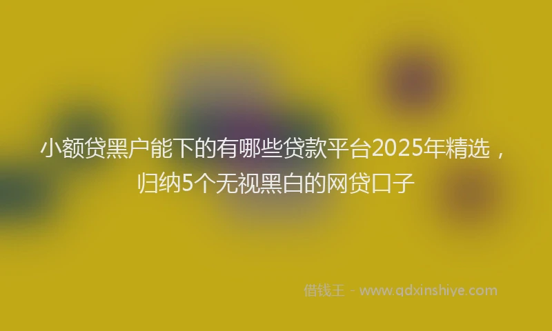 小额贷黑户能下的有哪些贷款平台2025年精选，归纳5个无视黑白的网贷口子