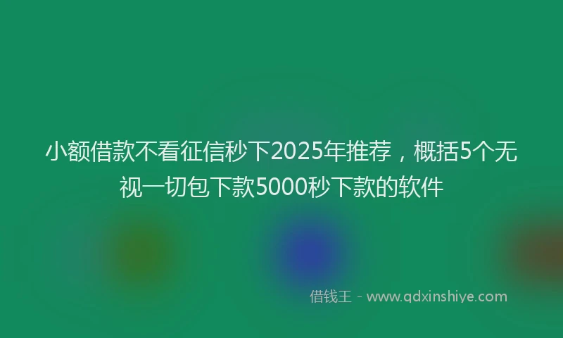 小额借款不看征信秒下2025年推荐，概括5个无视一切包下款5000秒下款的软件