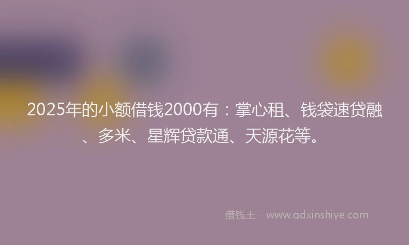 2025年的小额借钱2000有：掌心租、钱袋速贷融、多米、星辉贷款通、天源花等。