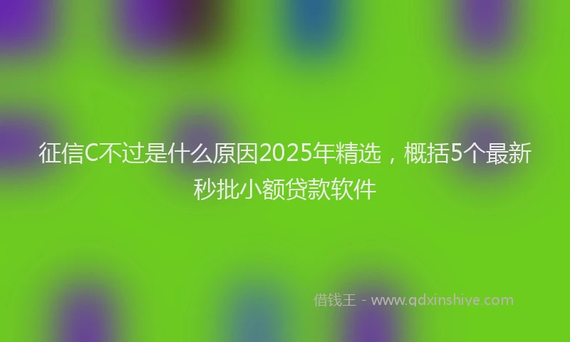 征信C不过是什么原因2025年精选，概括5个最新秒批小额贷款软件