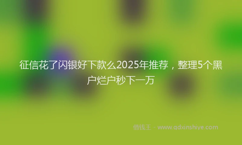 征信花了闪银好下款么2025年推荐，整理5个黑户烂户秒下一万