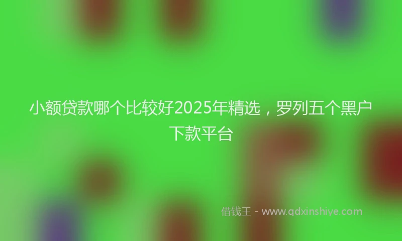 小额贷款哪个比较好2025年精选，罗列五个黑户下款平台