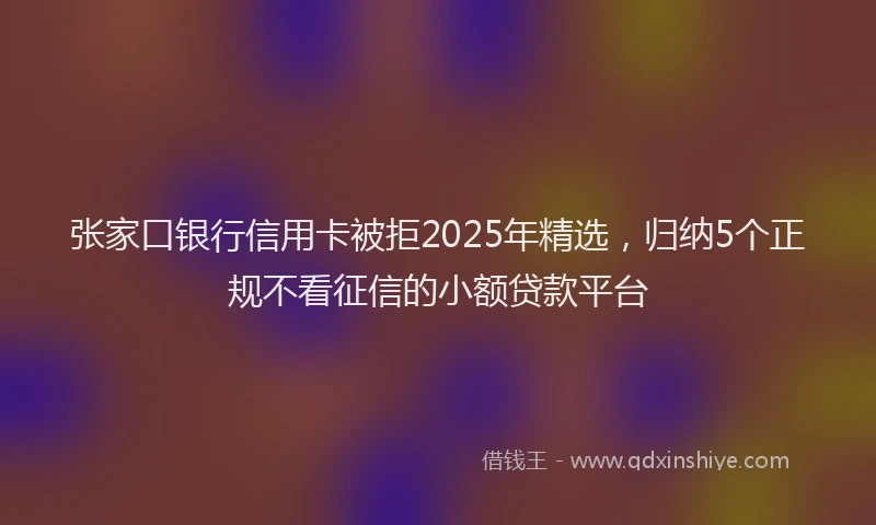 张家口银行信用卡被拒2025年精选，归纳5个正规不看征信的小额贷款平台