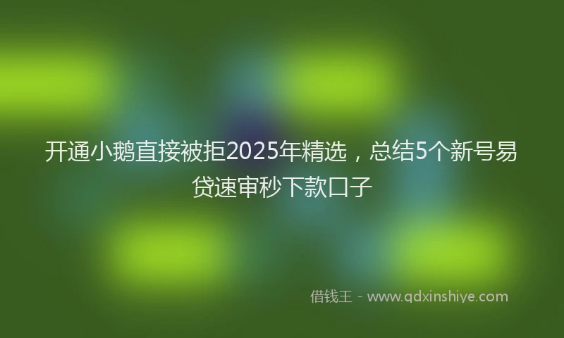 开通小鹅直接被拒2025年精选，总结5个新号易贷速审秒下款口子