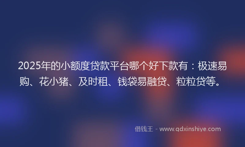 2025年的小额度贷款平台哪个好下款有：极速易购、花小猪、及时租、钱袋易融贷、粒粒贷等。