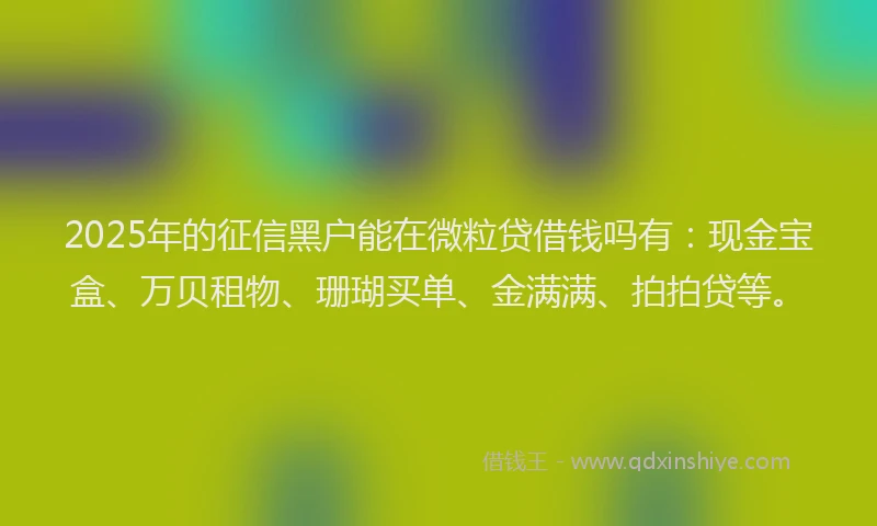 2025年的征信黑户能在微粒贷借钱吗有：现金宝盒、万贝租物、珊瑚买单、金满满、拍拍贷等。