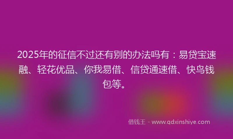 2025年的征信不过还有别的办法吗有：易贷宝速融、轻花优品、你我易借、信贷通速借、快鸟钱包等。