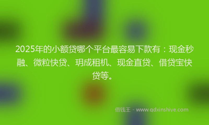 2025年的小额贷哪个平台最容易下款有：现金秒融、微粒快贷、玥成租机、现金直贷、借贷宝快贷等。