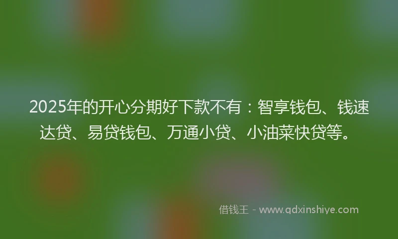 2025年的开心分期好下款不有：智享钱包、钱速达贷、易贷钱包、万通小贷、小油菜快贷等。