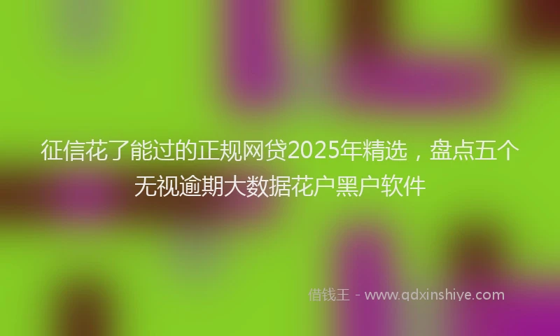 征信花了能过的正规网贷2025年精选，盘点五个无视逾期大数据花户黑户软件