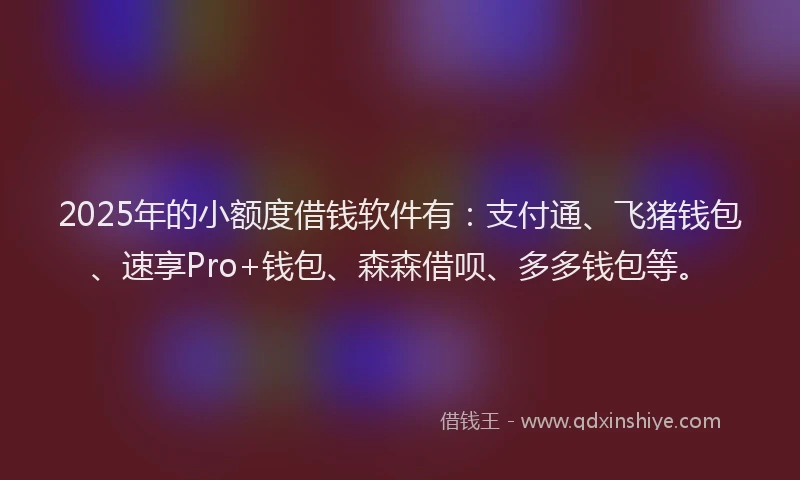 2025年的小额度借钱软件有：支付通、飞猪钱包、速享Pro+钱包、森森借呗、多多钱包等。